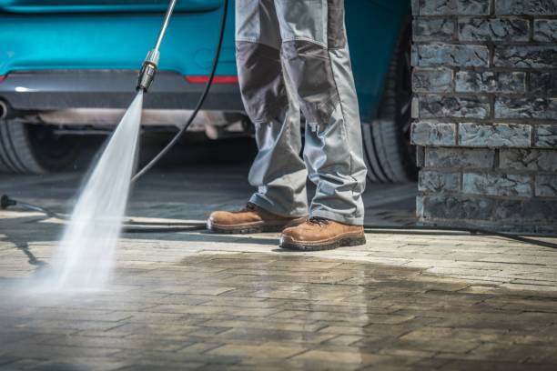 Best Spring Cleaning  in Norris City, IL