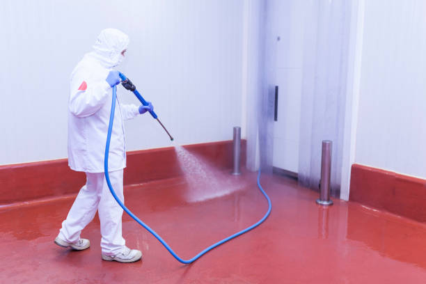 Best Warehouse Cleaning  in Norris City, IL